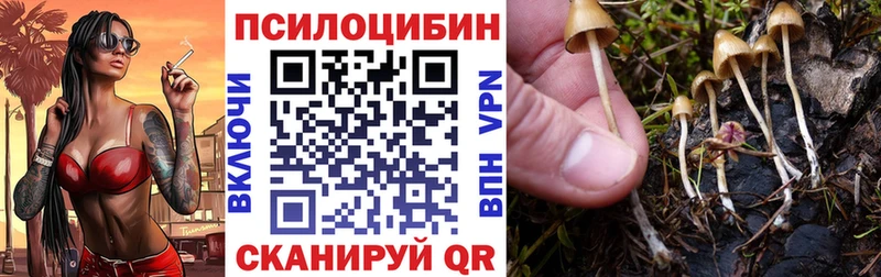 Галлюциногенные грибы GOLDEN TEACHER  Щигры 